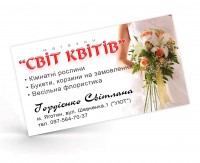 Уменьшенная копия