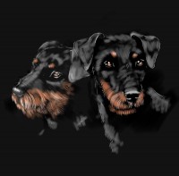 Уменьшенная копия