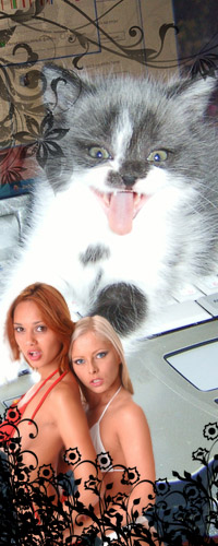 Уменьшенная копия