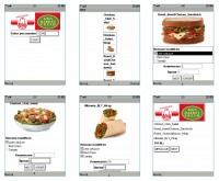 Уменьшенная копия