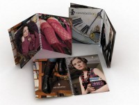 Уменьшенная копия