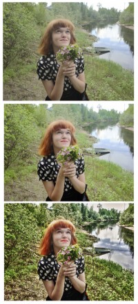 Уменьшенная копия