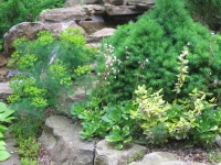 Уменьшенная копия