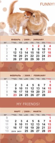 Уменьшенная копия