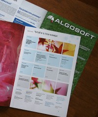 Уменьшенная копия