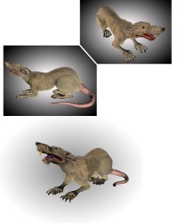 Уменьшенная копия