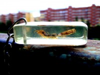 Уменьшенная копия