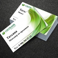 Уменьшенная копия