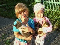 Уменьшенная копия