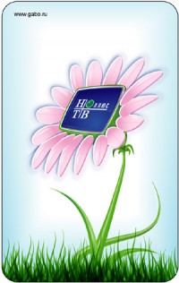 Уменьшенная копия