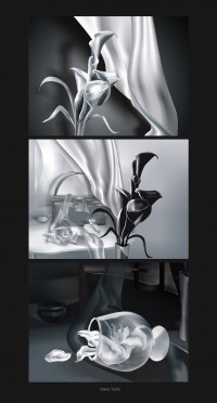 Уменьшенная копия