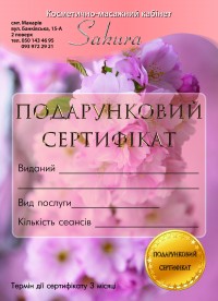 Уменьшенная копия