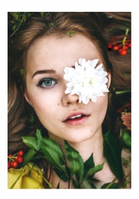 Уменьшенная копия