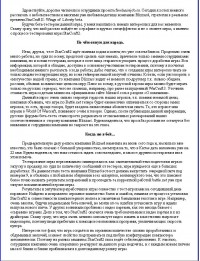 Уменьшенная копия