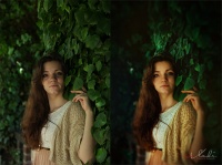 Уменьшенная копия