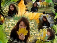 Уменьшенная копия