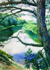 Уменьшенная копия