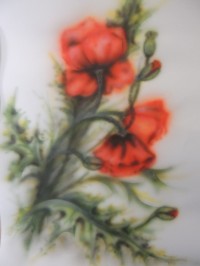 Уменьшенная копия