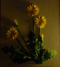 Уменьшенная копия