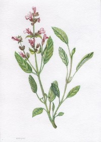 Уменьшенная копия