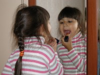 Уменьшенная копия