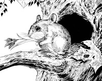 Уменьшенная копия