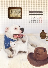 Уменьшенная копия