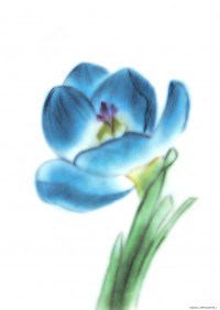 Уменьшенная копия