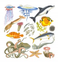 Уменьшенная копия