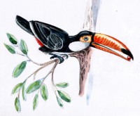 Уменьшенная копия