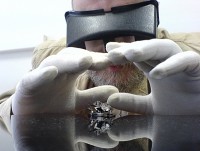 Уменьшенная копия