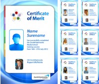 Уменьшенная копия