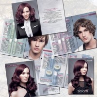 Уменьшенная копия