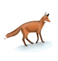 Уменьшенная копия