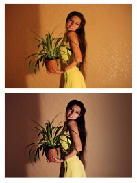 Уменьшенная копия