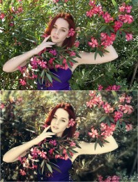 Уменьшенная копия