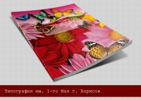 Уменьшенная копия