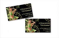 Уменьшенная копия