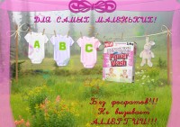 Уменьшенная копия