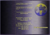 Уменьшенная копия