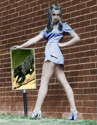 Уменьшенная копия