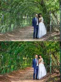 Уменьшенная копия