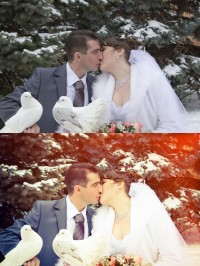 Уменьшенная копия