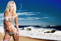 Уменьшенная копия