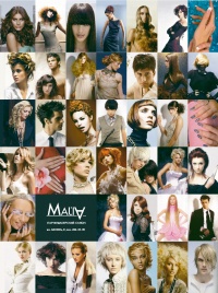 Уменьшенная копия