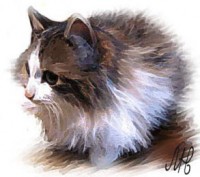 Уменьшенная копия