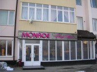 Уменьшенная копия