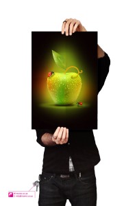 Уменьшенная копия