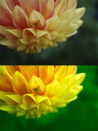 Уменьшенная копия