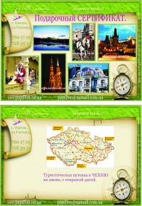 Уменьшенная копия